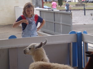 la foire d'automne 4