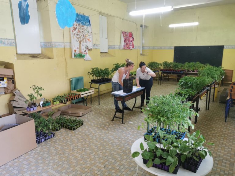 Plants pour les potagers
