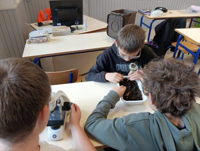 IMG-20260326-WA0008