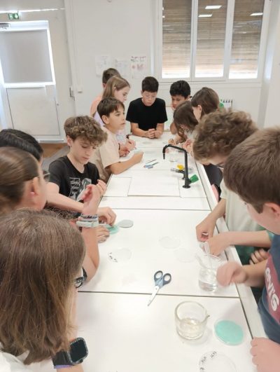 IMG-20260523-WA0001